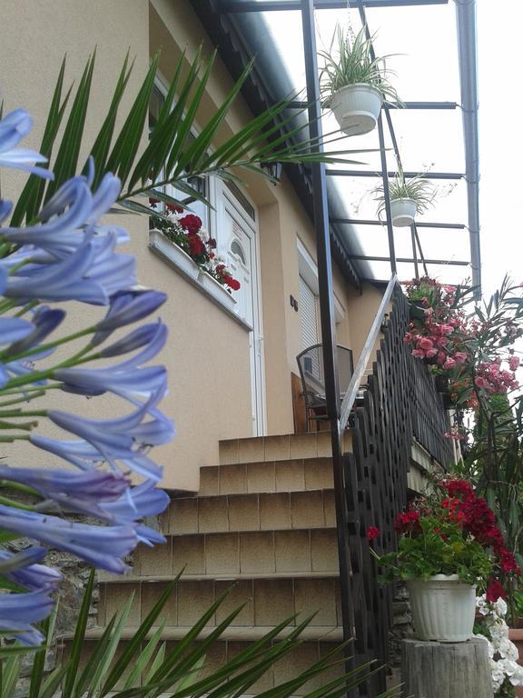 Marika Haus Hotel บุค ห้อง รูปภาพ